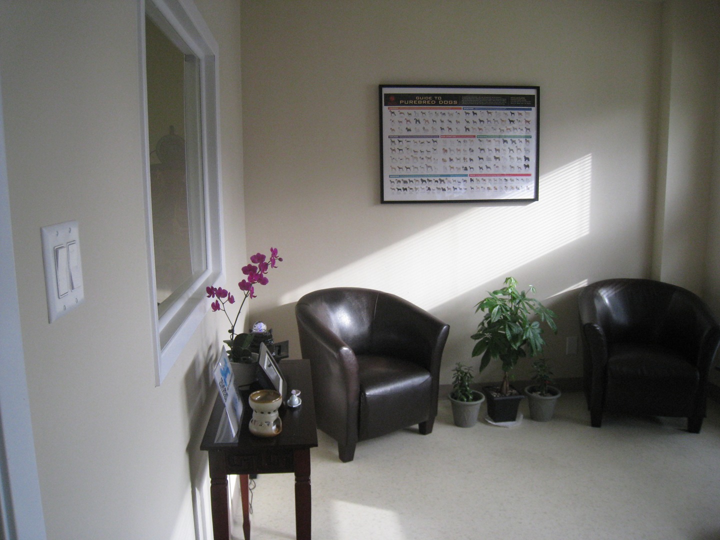Consultation and waiting area